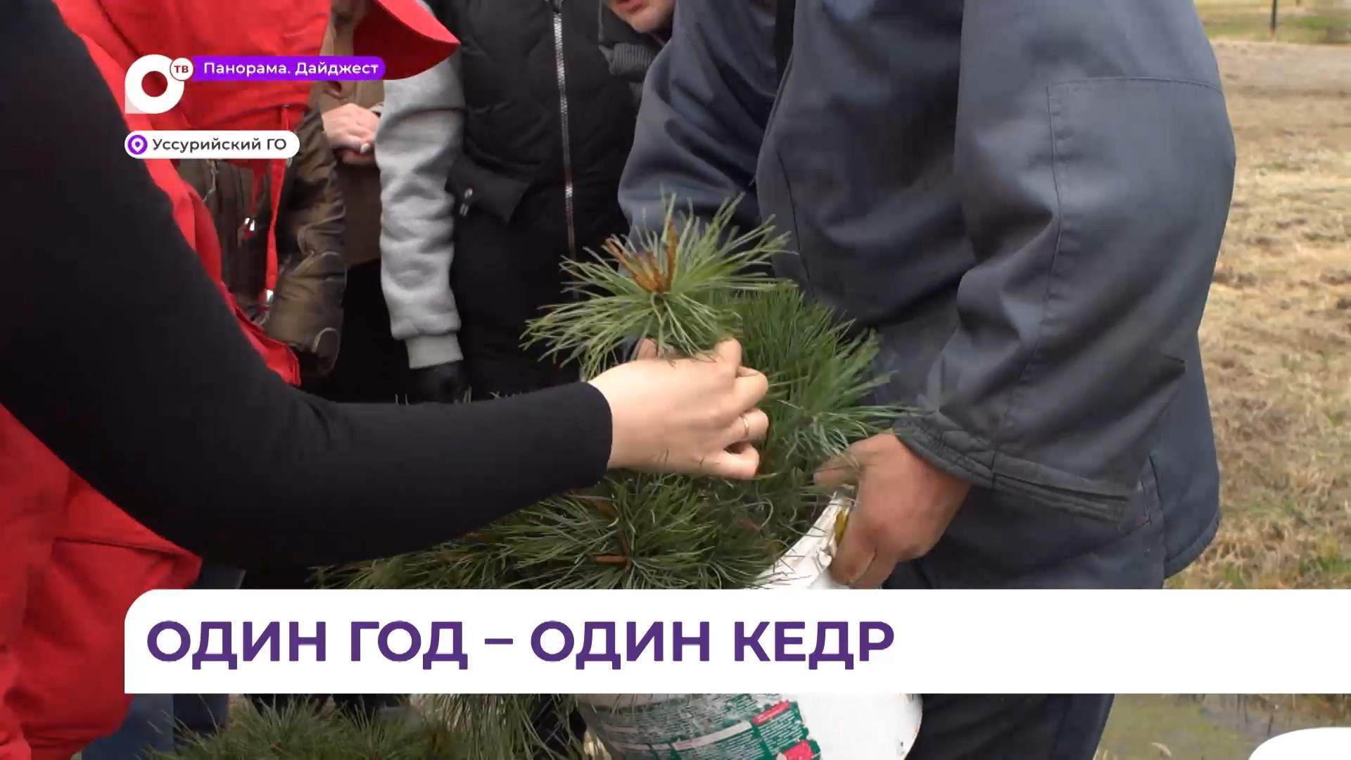 В Уссурийске в микрорайоне «Радужный» местные жители высадили «Сад памяти»