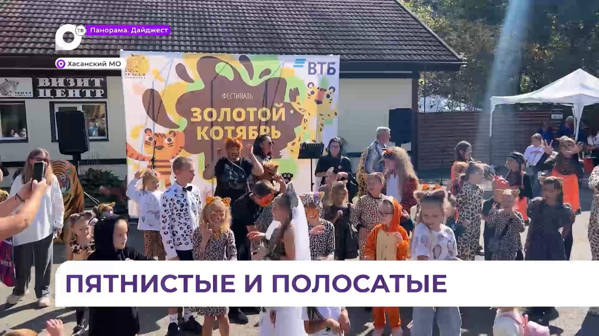 Кошачий фестиваль собрал несколько сотен приморцев в селе Барабаш