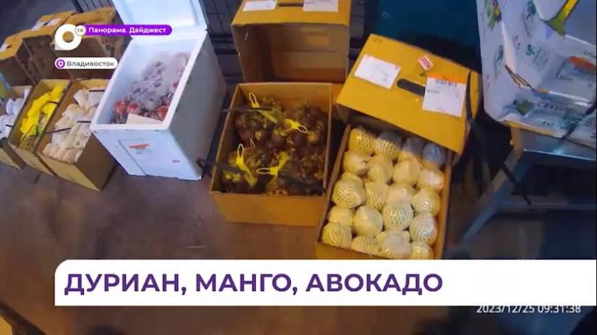 Партия тропических фруктов из Таиланда впервые поступила во Владивосток