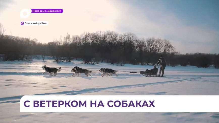 Ездовые хаски: как приморцы развивают туризм в Приморье