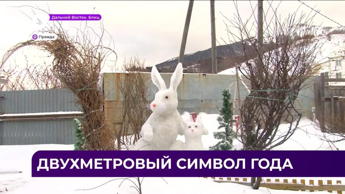 Дальний Восток Блиц / 24.01.23