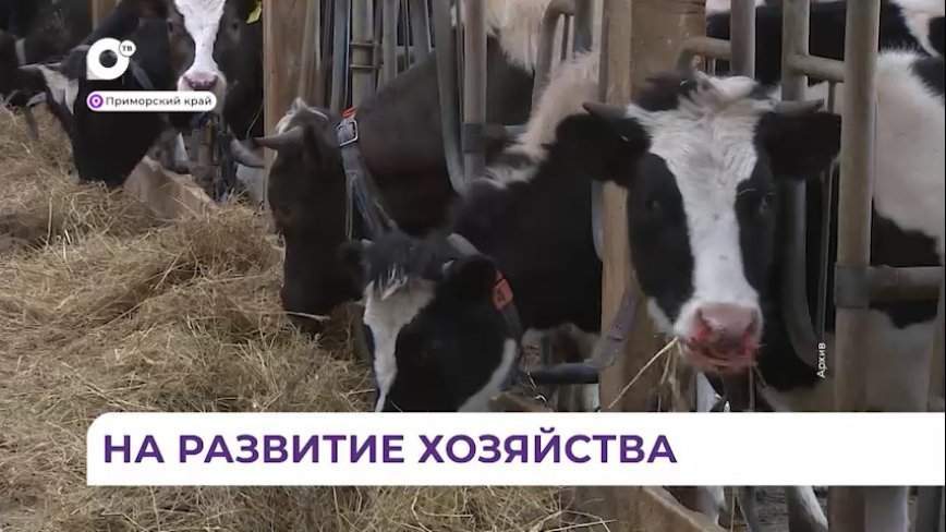 Приморским фермерам продлили срок получения земельных участков на льготных условиях