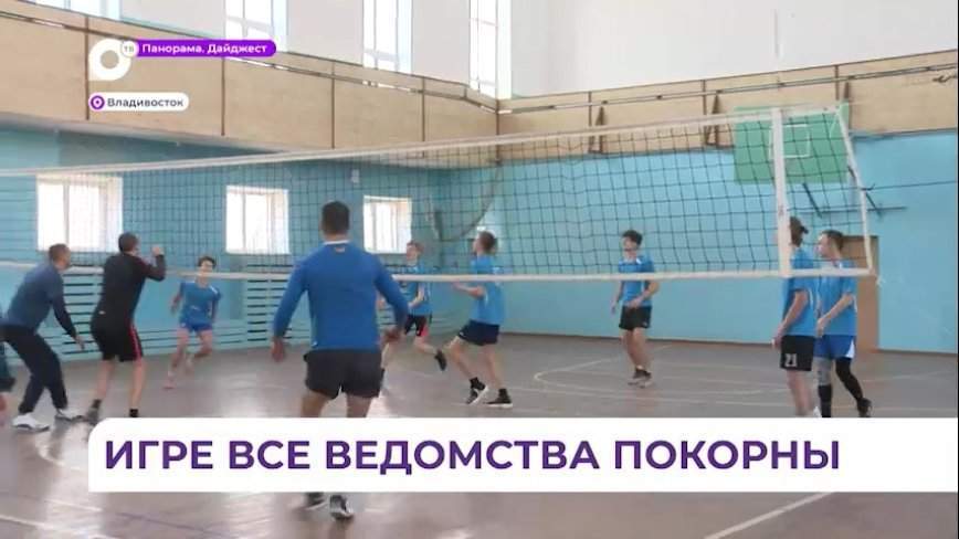 Сотрудники ГИБДД в формате игры делятся со школьниками навыками игры в волейбол