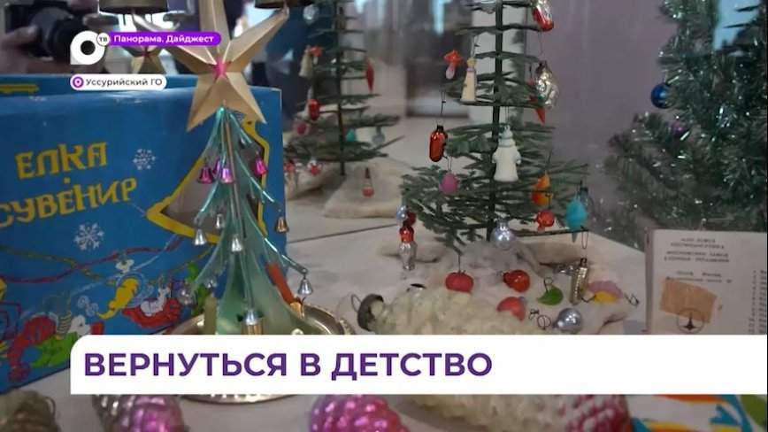 Экспозиция «В стране новогодних игрушек» открылась музее Уссурийска