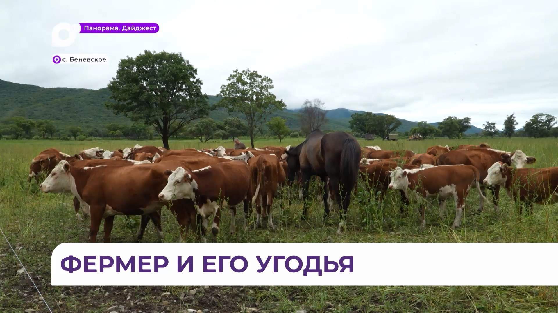 КФХ «Беневское» развивается вместе с господдержкой для фермеров от правительства Приморья