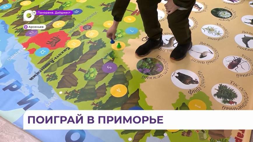 Школьники из Арсеньева создали игру «Заповедное Приморье»