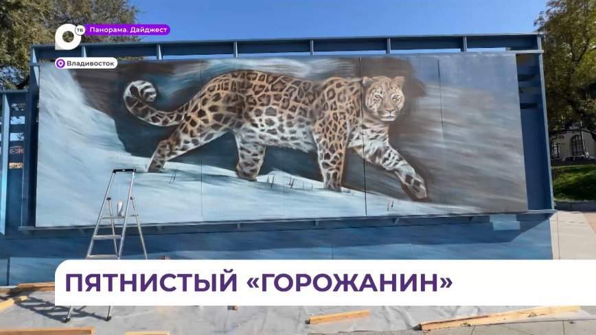 Краснокнижная кошка «поселится» в центре Владивостока