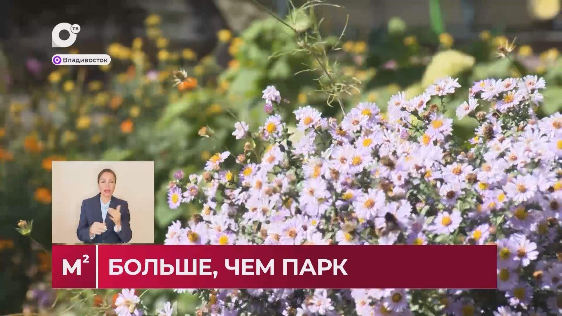 Квадратные метры / Лучший ТОС / 13.10.26