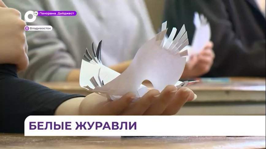 Приморье присоединилось к акции «Летят журавли» в память о жертвах теракта в «Крокус Сити Холл»