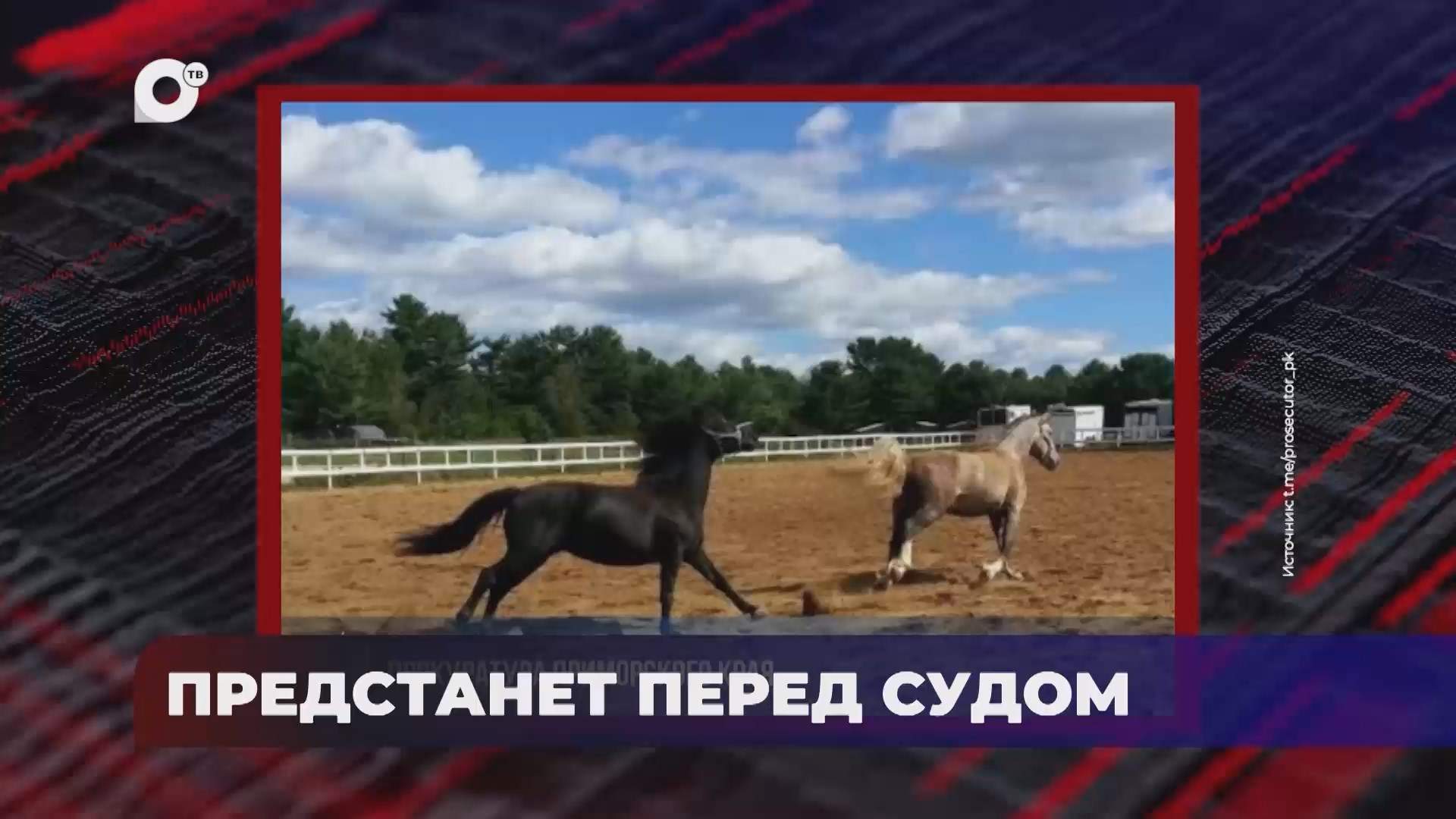 В порядке! / Дело о мошенничестве / Обвинительное заключение / Травмирование ребенка / 09.09.25