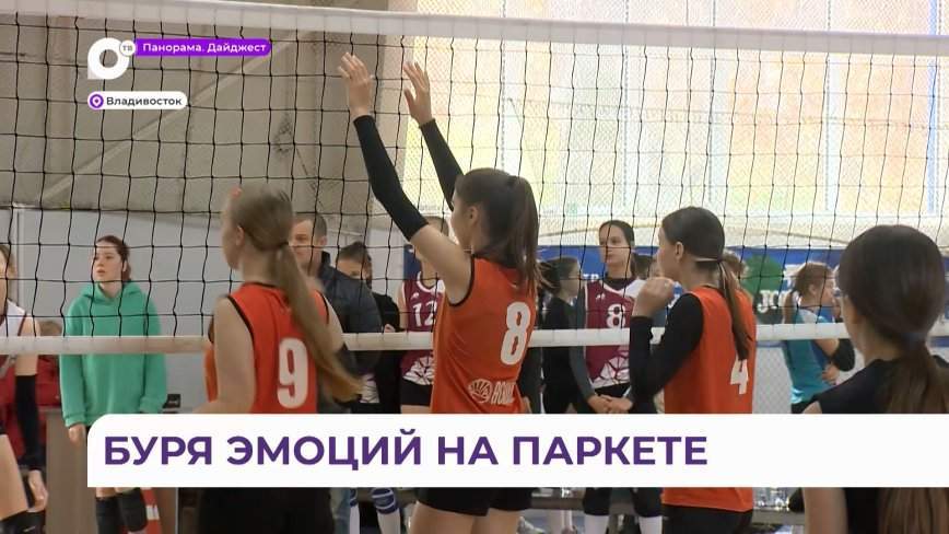 На краевом первенстве по волейболу во Владивостоке девушки поборолись за медали