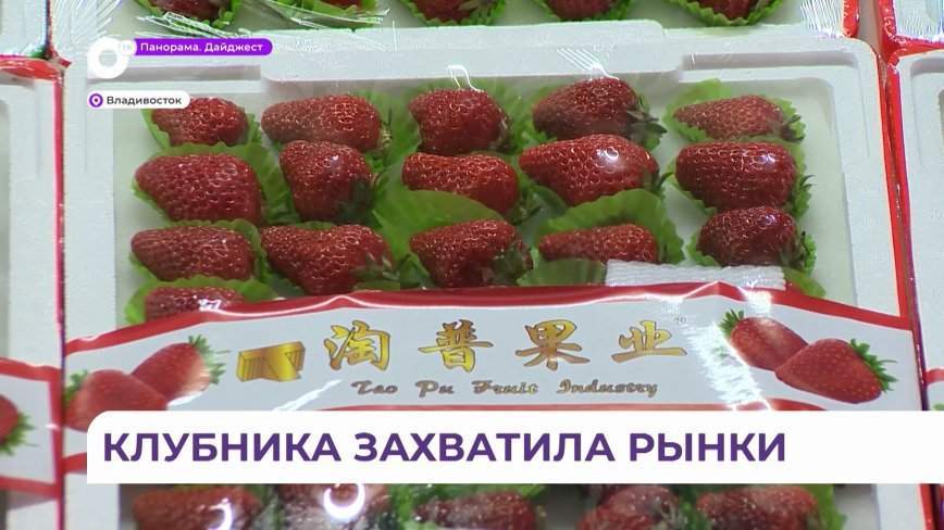 Клубника захватила прилавки Приморья: чего в ней больше – витаминов или пестицидов?