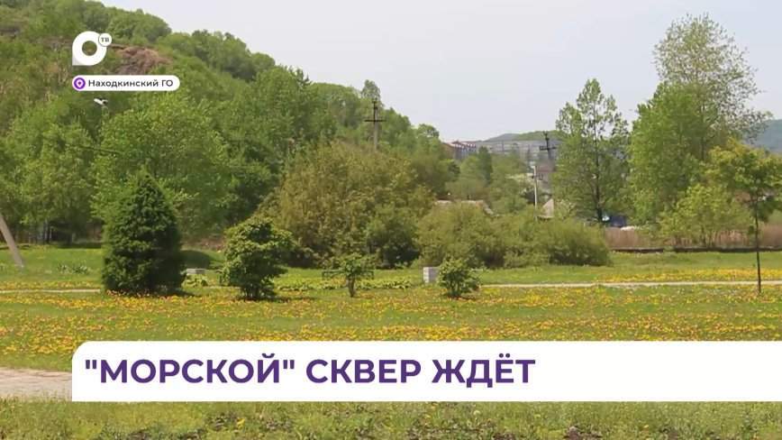 Благоустройство сквера «Морской» в Находке может стать реальностью