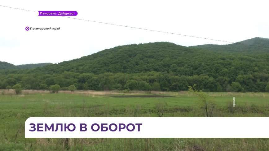 Ввод в оборот залежных земель и борьба с пожарами должны стать одним из приоритетов в Приморье