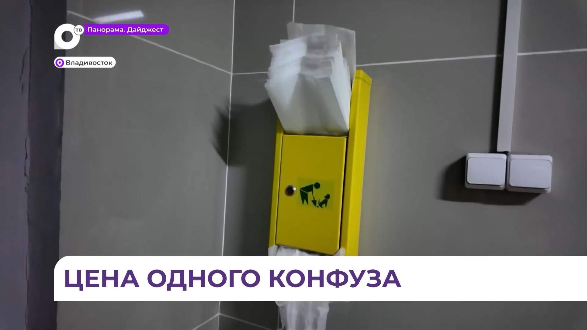 Владивостокцам грозят штрафы за неубранные экскременты домашних животных