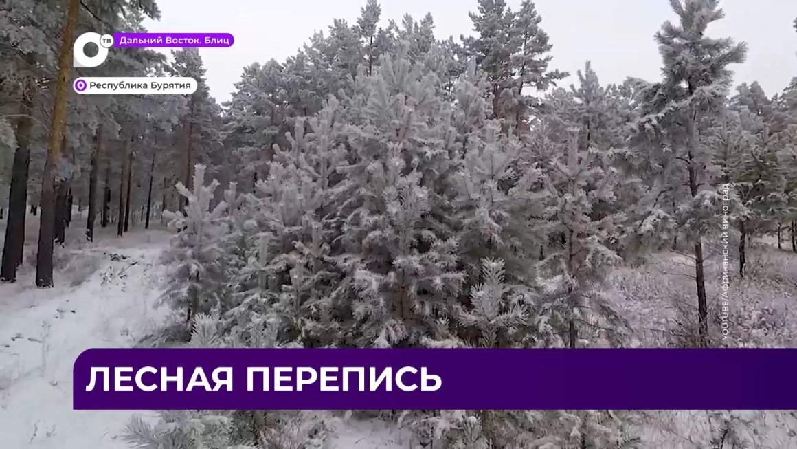 Дальний Восток Блиц / 06.02.23