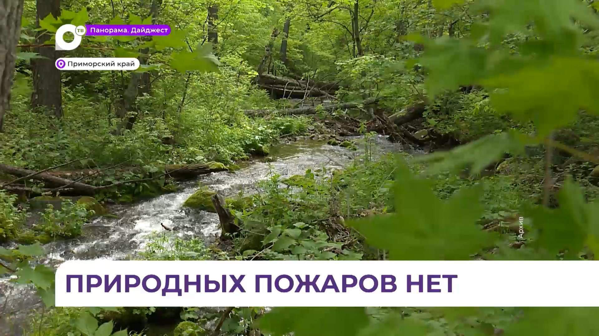 Особый противопожарный режим отменён в Приморье
