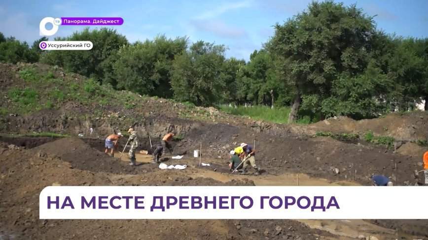 Средневековые артефакты на строительстве будущего бассейна в Суворовском училище нашли археологи
