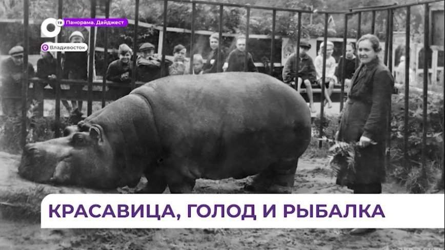 Всероссийскую выставку к 80-летию освобождения Ленинграда подготовили во Владивостоке
