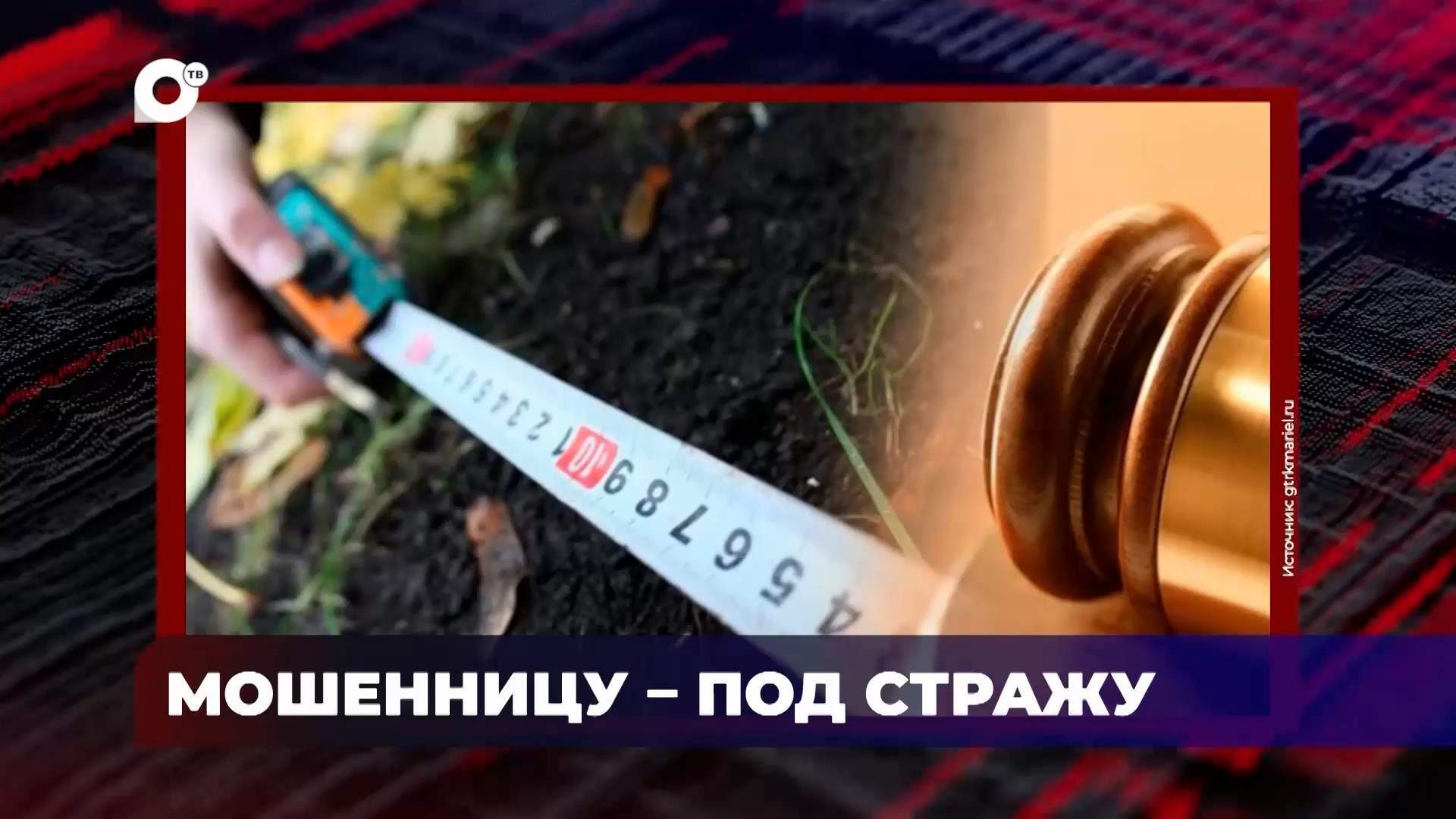 В порядке! / Мошенницу – под стражу / Незаконная рубка леса / 04.08.25
