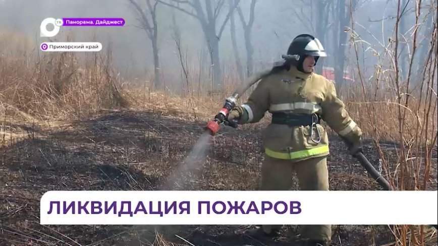 В Приморье ликвидировано восемь природных пожаров