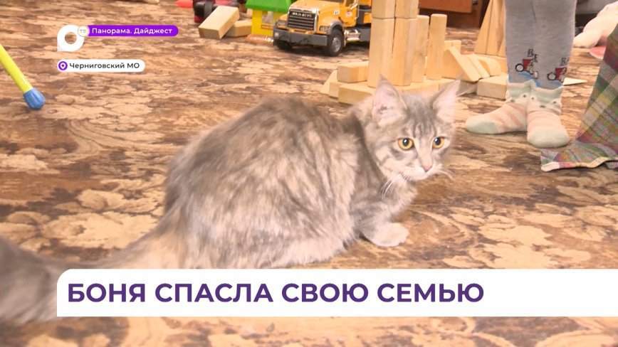 Домашняя любимица спасла от гибели в пожаре семью в Приморье