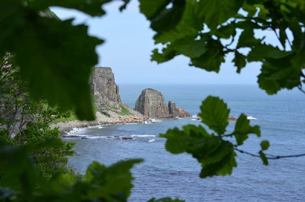 Рекордные температуры бьют климатические нормы в Приморье