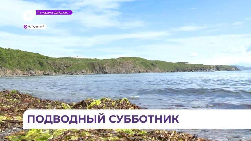 Ежегодную акцию «Чистое море» провели на пляже в районе мыса Ахлёстышева