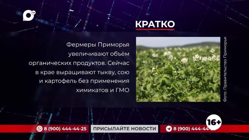 Кратко. 29.03.24 (Вечер)