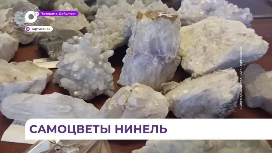 Жители Партизанска пытаются возродить геологический музей