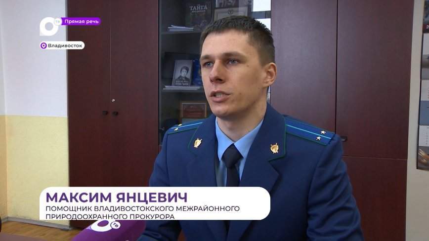 Прямая речь. Об обращении с животными