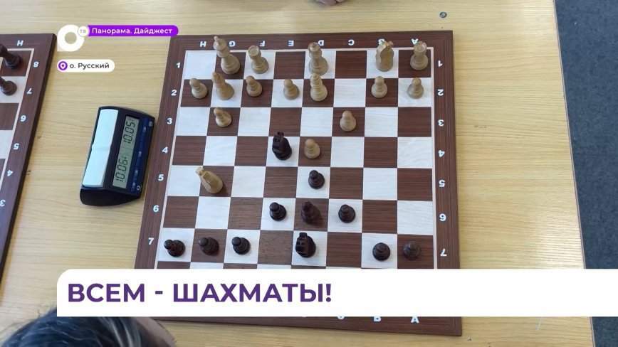 Турнир по быстрым шахматам провели в ДВФУ