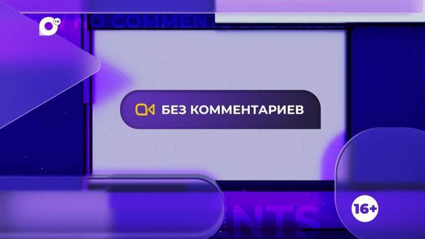 Без комментариев. Вкусная охота