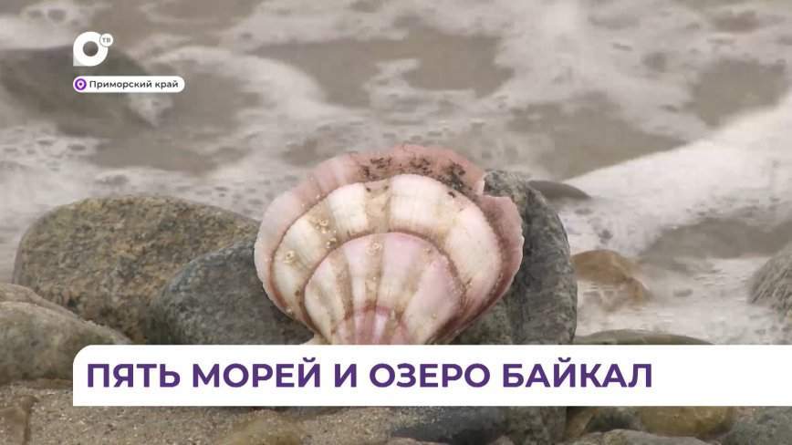Приморский край вошёл в проект «Пять морей и озеро Байкал»