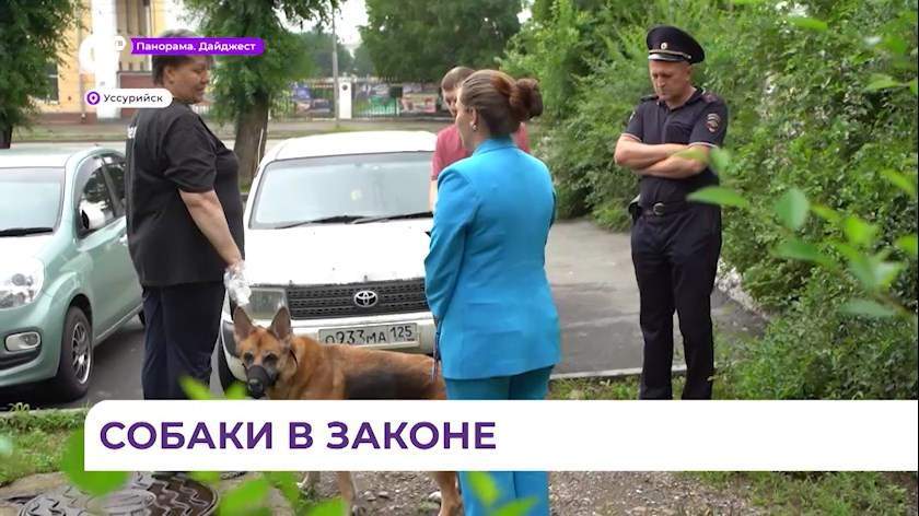 В Уссурийске сотрудники надзорных организаций начали сканировать домашних животных