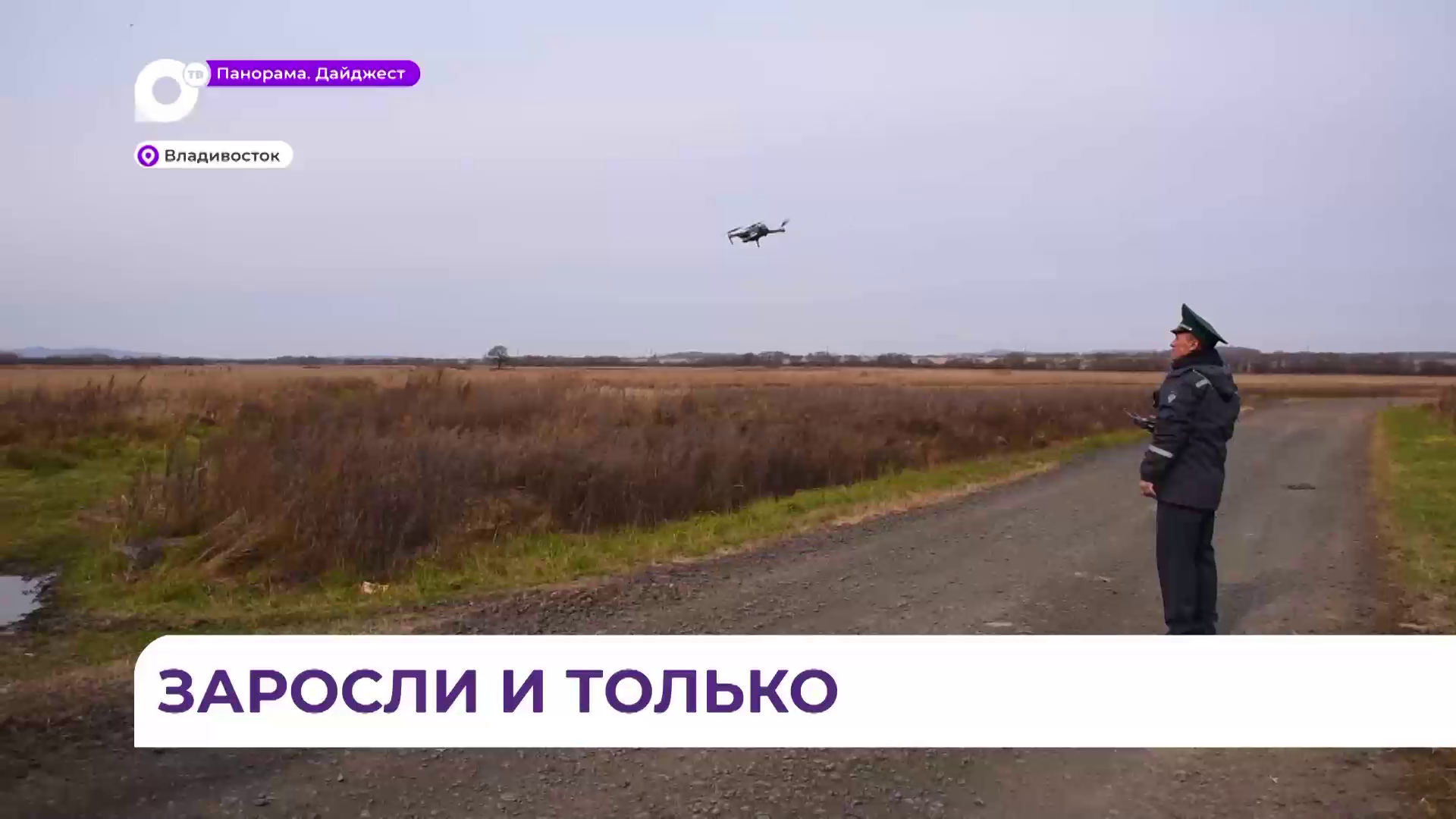 В Кировском округе собственнику сельхозземель вынесли предостережение за заросли на участке