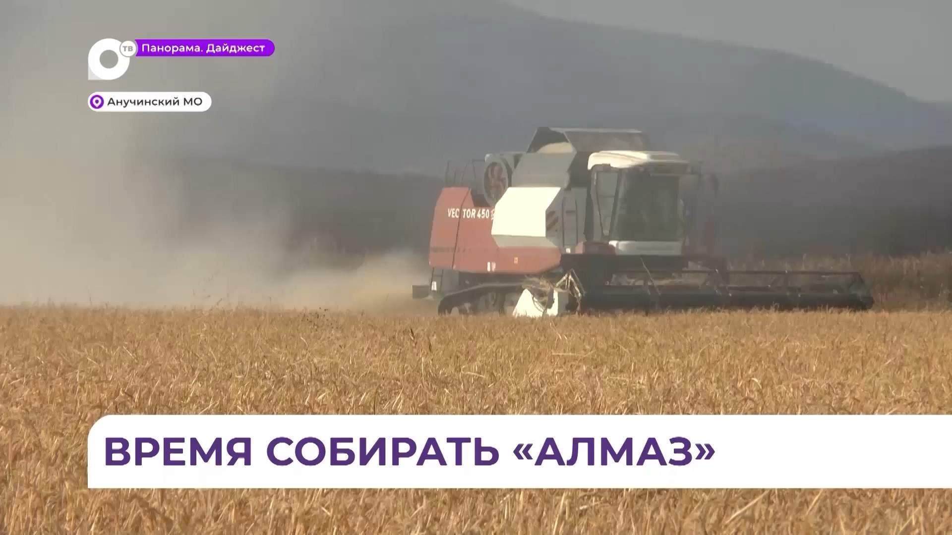 В Анучинском округе сельхозпроизводители приступили к уборке риса