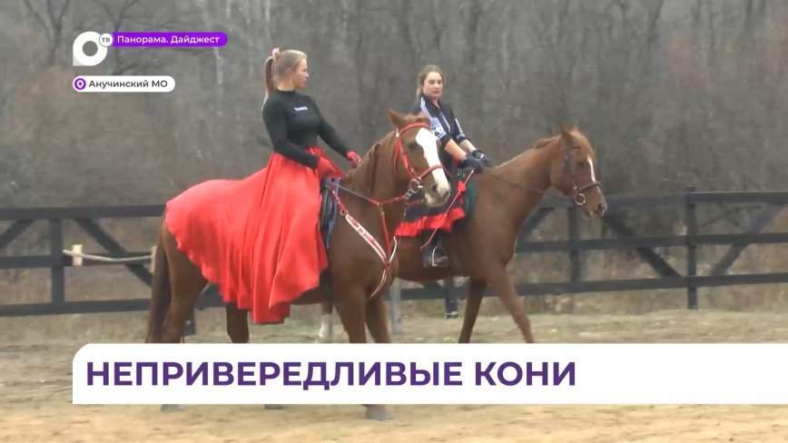 Жители Анучинского района и Арсеньева отметили день рождения конного двора в Старогордеевке