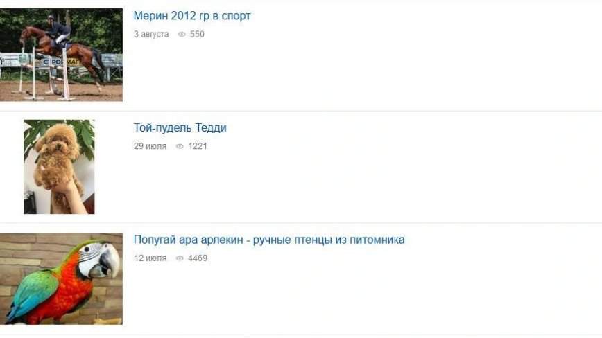 Во Владивостоке найдены пять самых дорогих животных