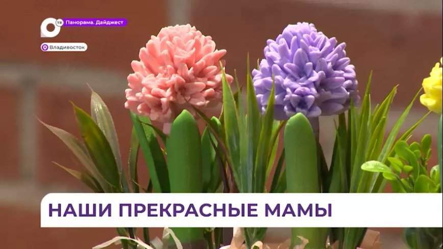Социальная акция «Весеннее пробуждение» состоялась в Приморье