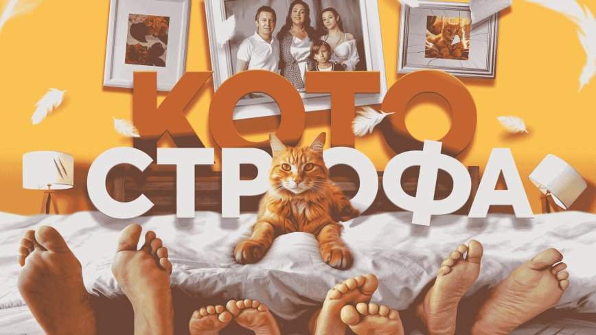 Фейерверк жанров и сюжетов: Wink.ru представляет декабрьские кинопремьеры