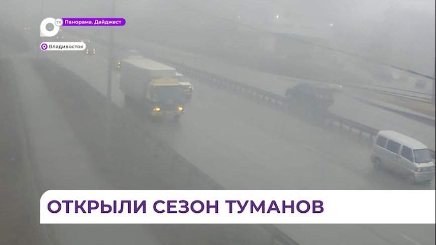 Автомобилистов просят по возможности не пользоваться личным авто из-за тумана