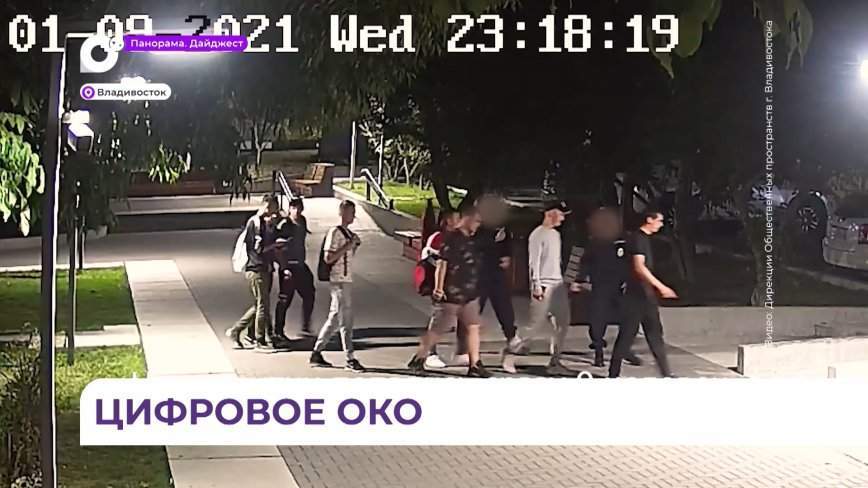«Цифровое око» круглосуточно следит за посетителями новых скверов и парков Владивостока