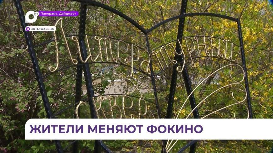 Жители Фокино голосуют за благоустройство городского литературного сквера