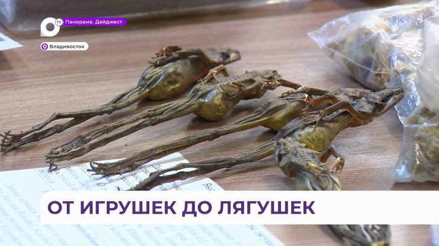 Самые разные товары попадают на экспертизу в лабораторию таможенного управления Приморья