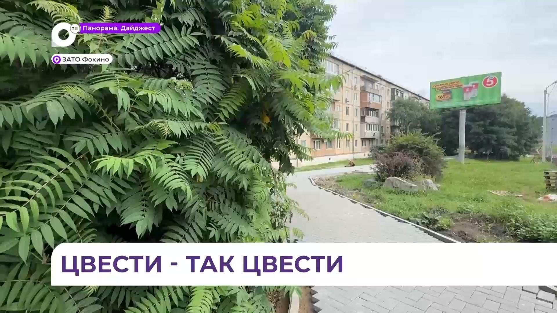 Сиреневая аллея в скором времени появится в Фокино