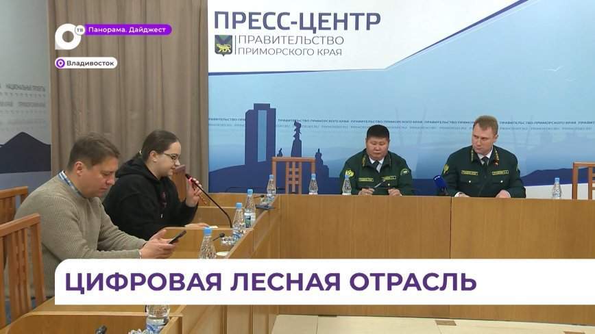 Представители лесного хозяйства рассказали о проектах, которые запустят в России в ближайшие 5 лет