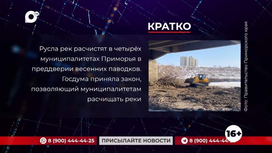 Кратко. 26.01.24 (Утро)