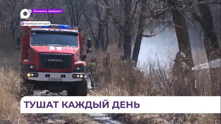 Шесть пожаров потушили в Приморском крае за минувшие сутки