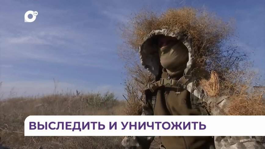 Специалисты мирового уровня: снайперская группа «Сумрак» выполняет задачи в зоне СВО